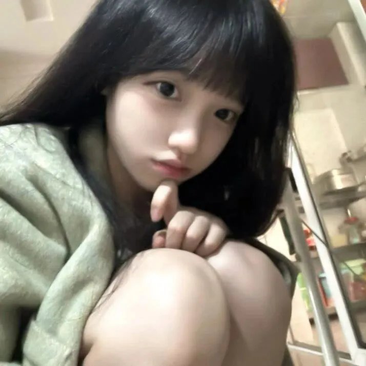 梅格雷的陷阱 (1958年电影)